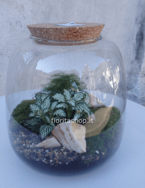 Terrarium 1