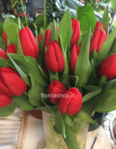 Tulipani disponibili solo rossi e arancione